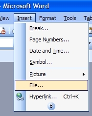 Insert a file